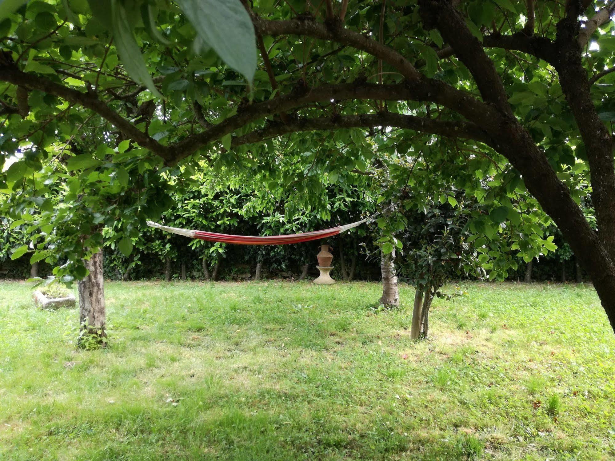O Ze Ja Dormiu Aqui Villa Celeiros Ngoại thất bức ảnh