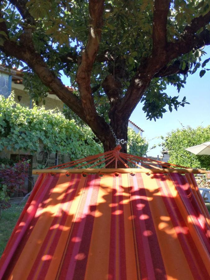 O Ze Ja Dormiu Aqui Villa Celeiros Ngoại thất bức ảnh